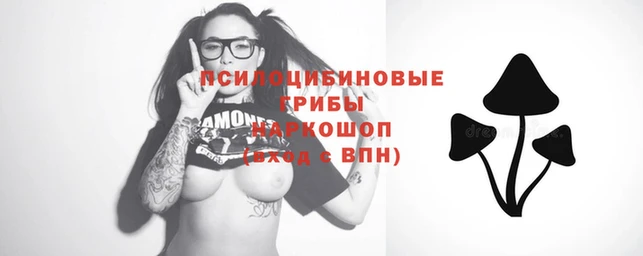 молекула духа Армянск