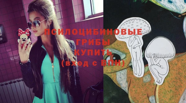 молекула духа Армянск
