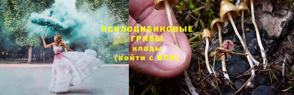 молекула духа Армянск