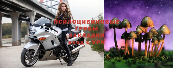 молекула духа Армянск