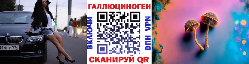 хочу наркоту  Пушкино  Псилоцибиновые грибы Magic Shrooms 