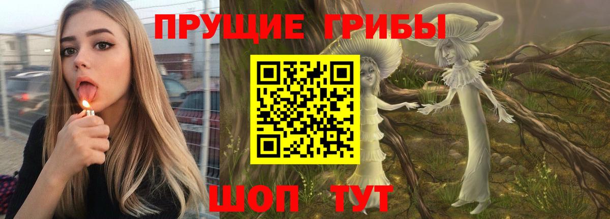 Пушкино  Псилоцибиновые грибы ЛСД  Вход с VPN 