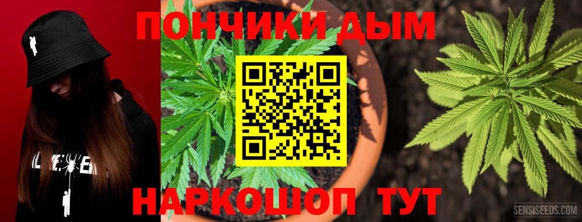 Шишки марихуана сатива  Шишки марихуана марихуана  Пушкино  Вход с VPN  Бошки Шишки сатива 